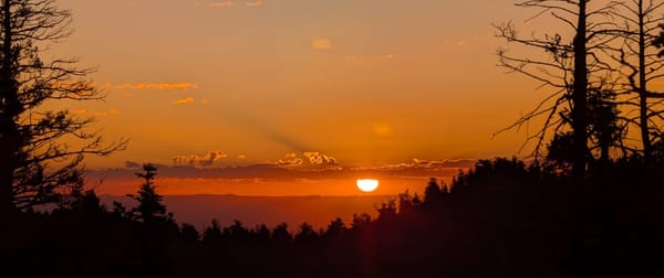 Leading Through Philmont - A 12-Day Journey of Growth